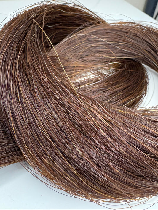 Brown Tail Horsehair