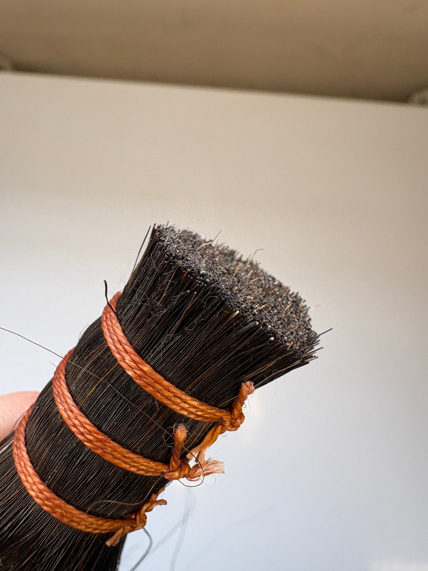 Black Tail Horsehair