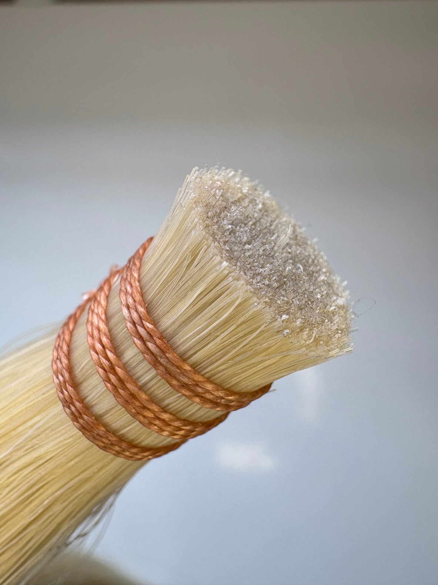 White Tail Horsehair